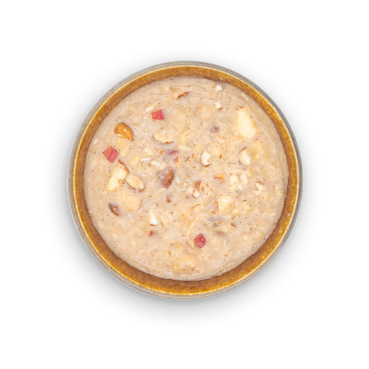 Bowl of apple oatmeal